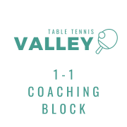 1-1 Coaching Session